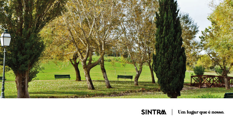 Sintra declara apoio à criação da Rede de Cidades Climaticamente Neutras até 2030